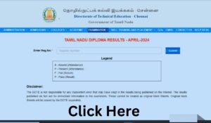 TN DTE Result 2025