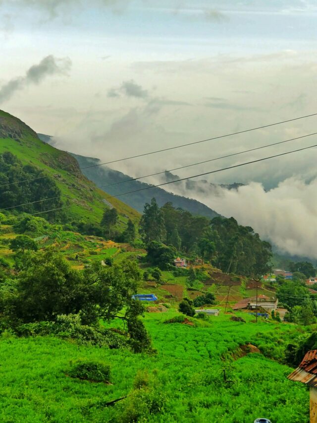 10 Best Places to Visit This Summer in India